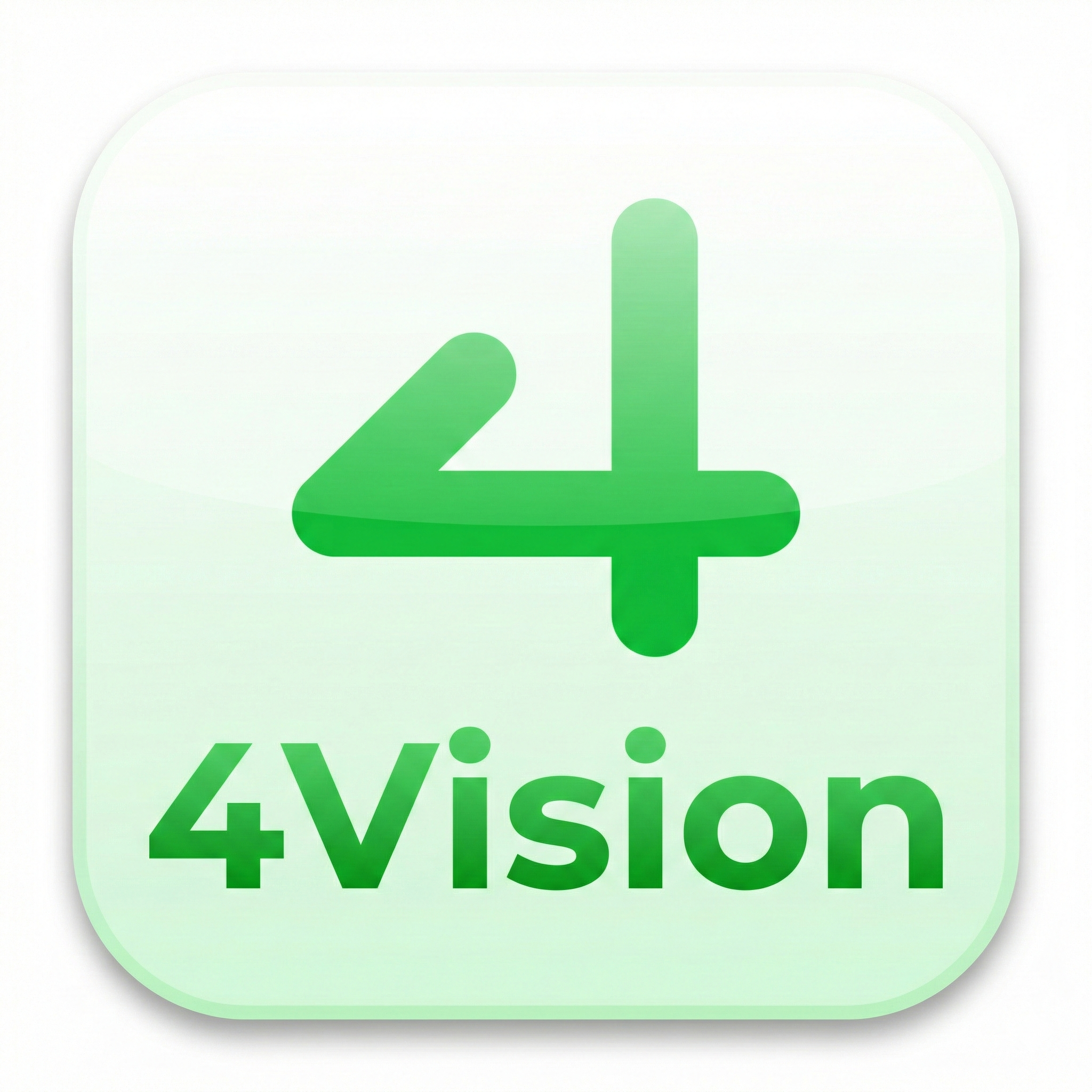 4Vision Logo